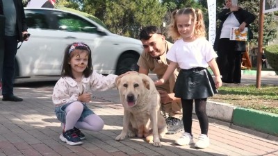 Can Dostların Kalbi Osmangazi