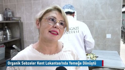 Osmangazi'de Organik Hasat